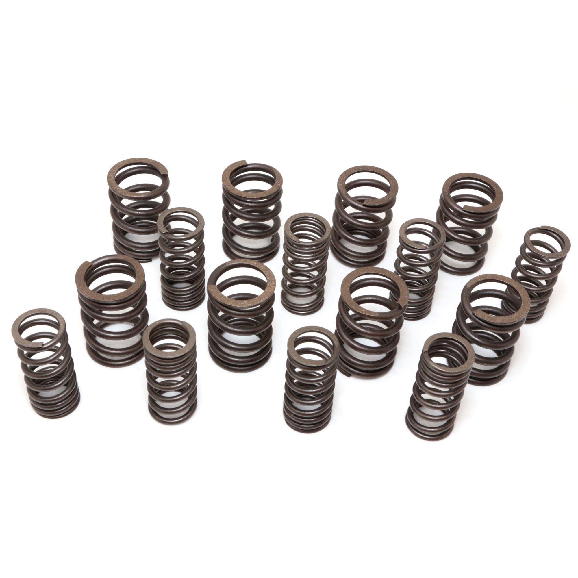 VALVE SPRING SET (with double exhaust valve springs) | Moss