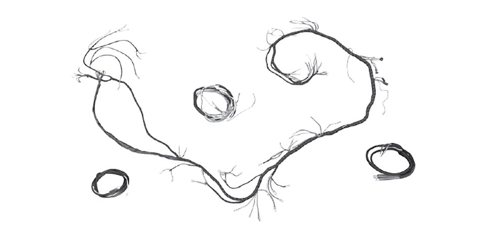 Wiring Harnesses