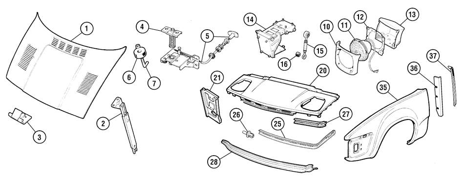 Front Body