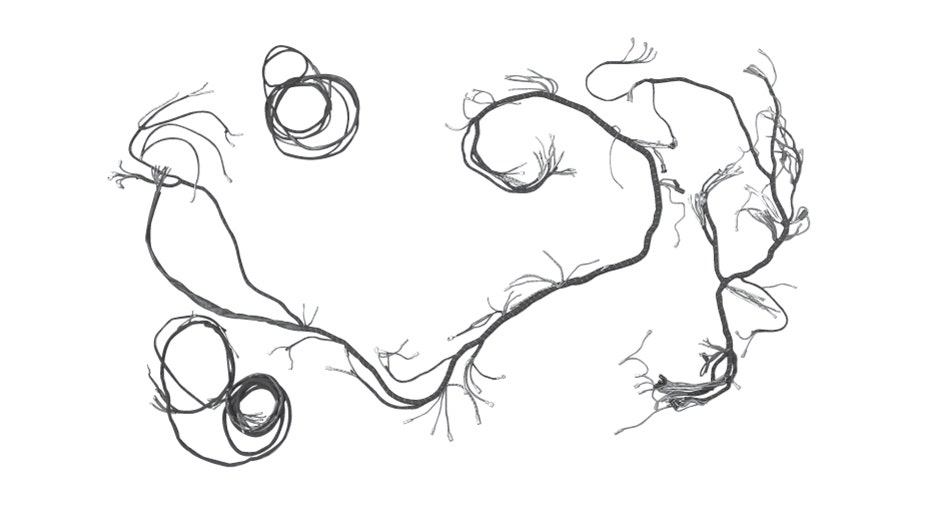 Wiring Harnesses, 3.8 Liter